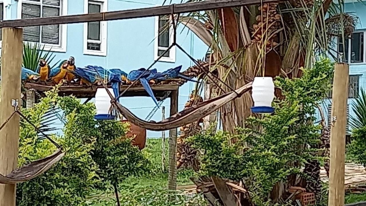 Pousada Canto Dos Passaros Alto Paraíso de Goiás Extérieur photo